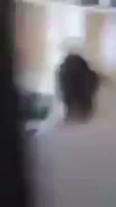 Brunette Woman Seen From Behind in Bright Room