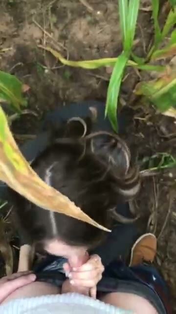 SEX in the middle of corn field