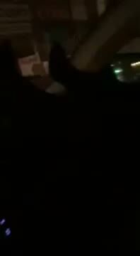 Amateur Couple Has Sex in Dark Car
