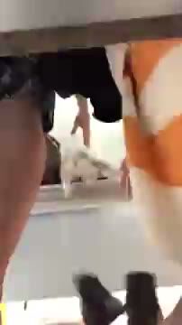 Curvy BBW in Striped Dress with Cat