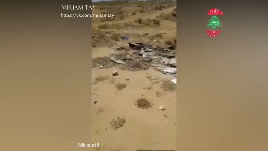 arab sex in the desert