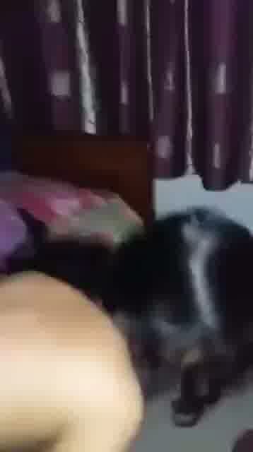 Amateur Brunette Gets Doggystyle Fucked on Home Floor