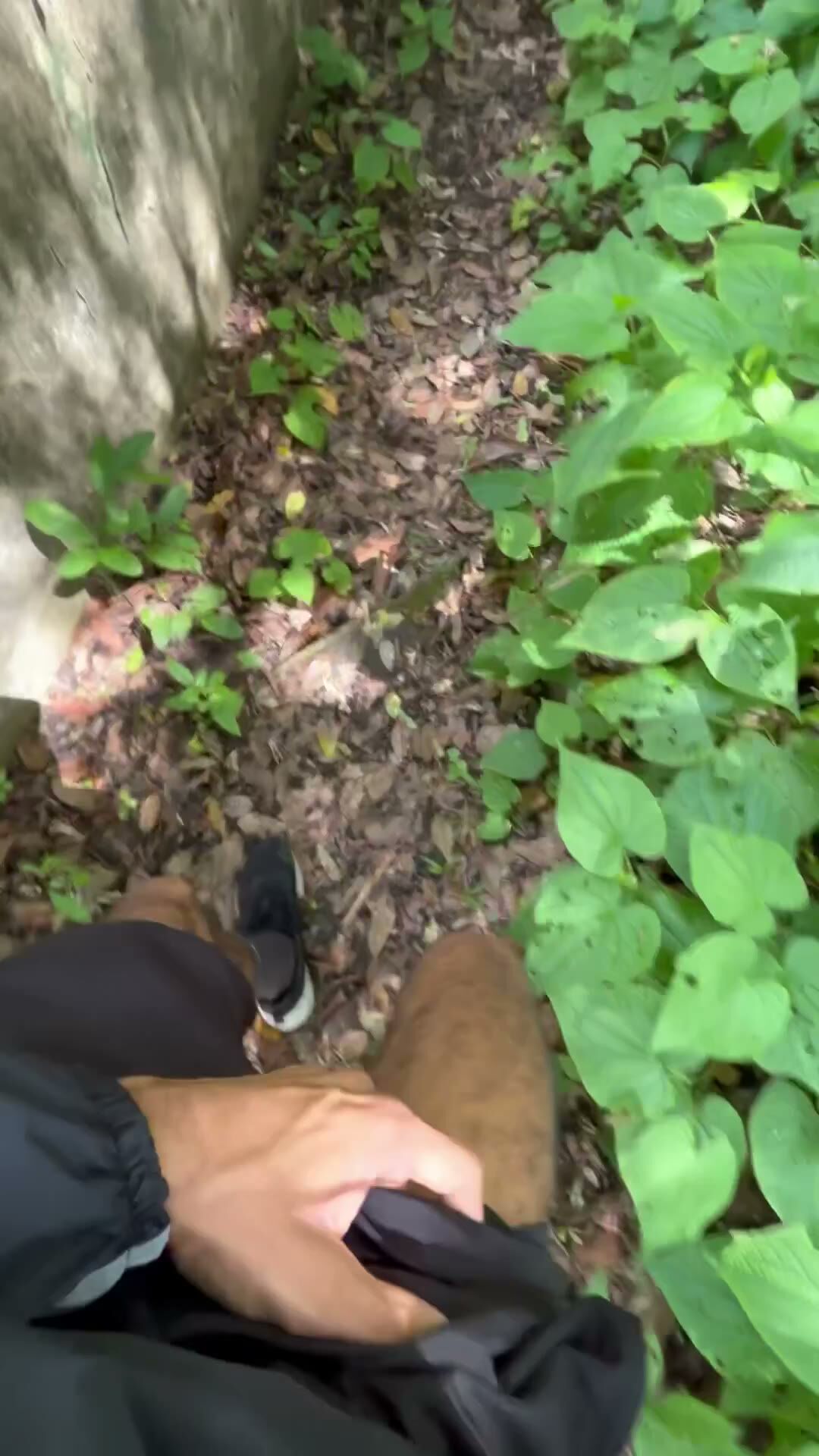 Hairy Muscular Stud Gets Blowjob Outdoors